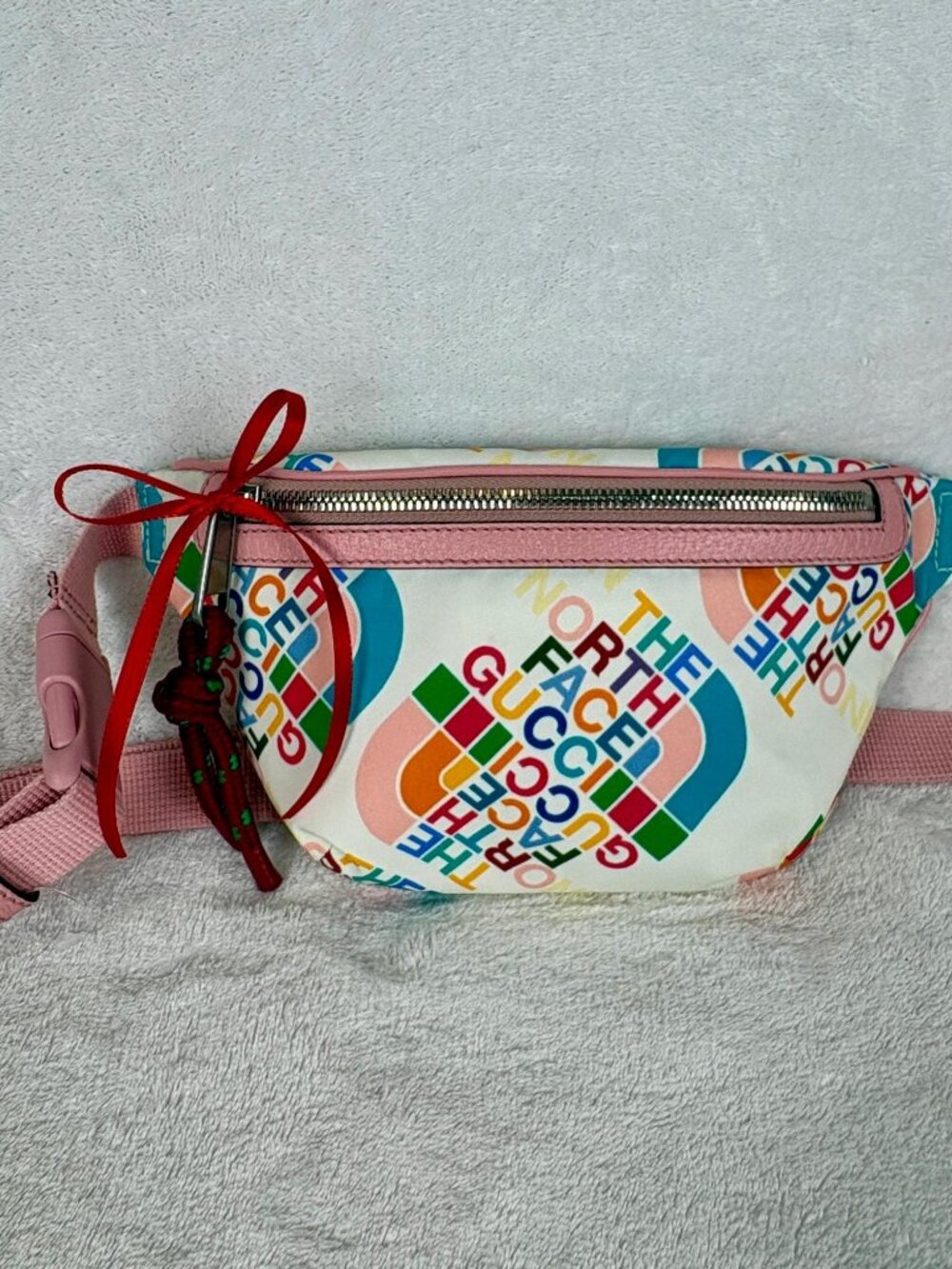Gucci and The North Face Limited Edition Collaboration in Nylon/Leather Trim